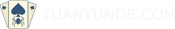 TUANYUNDB.COM